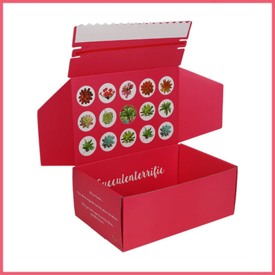 Pantone Color Mailer Shipping Box Gloss Matt Lamination Έγχρωμα Mailer Boxes